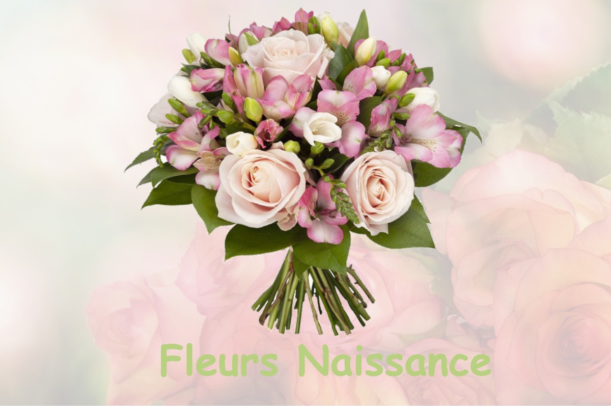 fleurs naissance BAGNEUX-LA-FOSSE